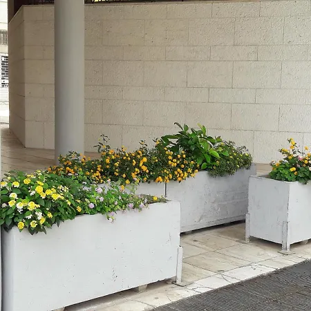 I Fiori Di Lucrezia